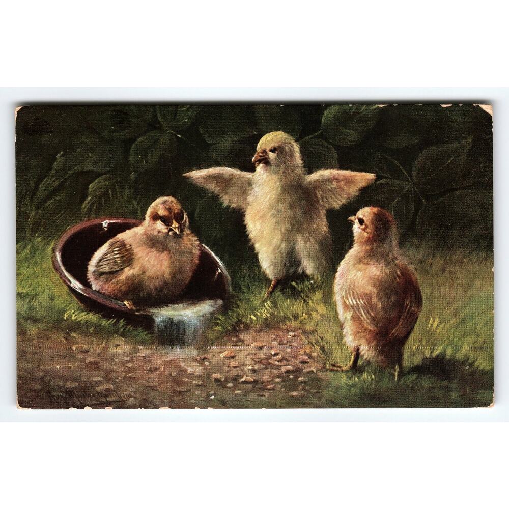 Vintage Signed Muller Artist Postcard Chick Scene The Royal Series 1917
